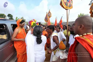 July 15 2011