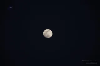 December 08 2011