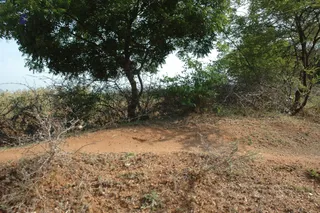 1978 - Tiruvannamalai - InnerGirivala