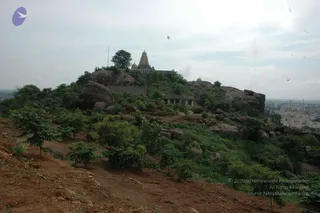 May 20 1989