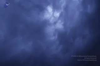 August 10 2011