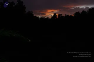 August 10 2011