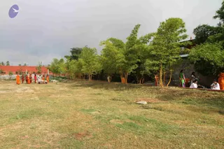 Outdoor photograph of a grassy campus lawn with dry patches, lined by a row of tall green bamboo-like trees and a low grey stone wall. On the left, a small group of people in orange and saffron robes stands near a low wooden cart or platform. On the right, a woman in a green and pink sari stands near the wall, while several people in white sit on the ground along the edge. A red brick boundary wall and palm trees appear in the background under a grey overcast sky. No identifiable a person appearance is confirmed, so the figures are described by role and clothing only.