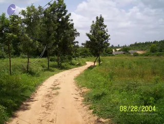 August 28 2004