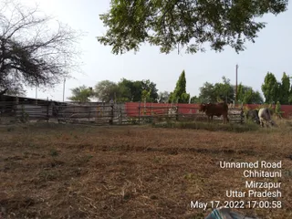 Photo 8283807