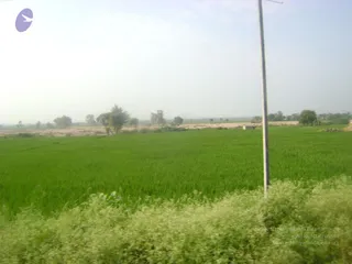 September 2006 - Sindhanur flood relief