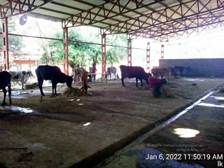 January 06 2022