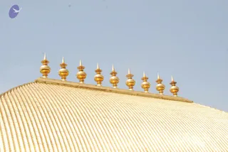 August 11 2009