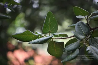 November 08 2010
