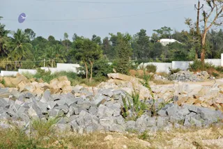 November 20 2008