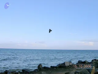 October 15 2006
