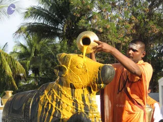 March 05 2008