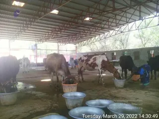 March 29 2022
