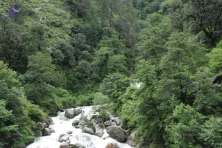 July 02 2008
