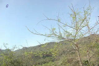 1978 - Tiruvannamalai - InnerGirivala