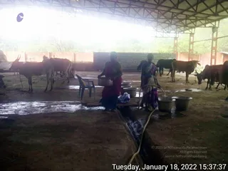 January 18 2022