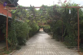 September 01 2014
