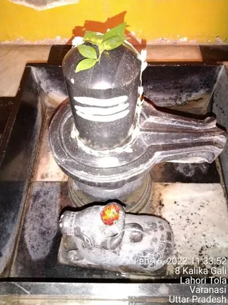 KAILASA India Uttar Pradesh Kashi 221001 on 2/16/2022