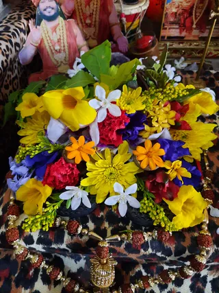 Photo 8283981