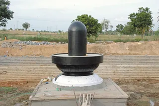 November 19 2008