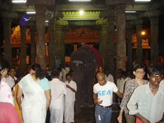20080102 bidadi03268.jpg