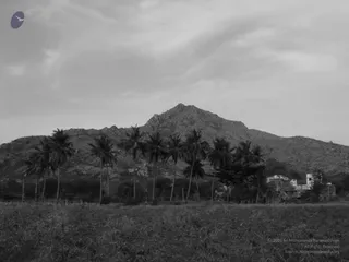 1978 - Tiruvannamalai