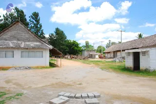June 17 2009