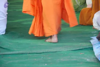 August 11 2009