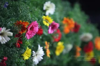December 06 2010