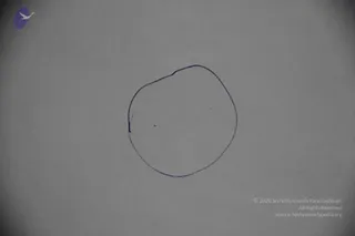 June 06 2011