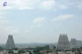 May 20 1989