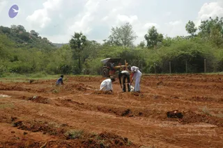 April 05 2008