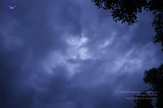 August 10 2011