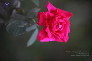 February 25 2011
