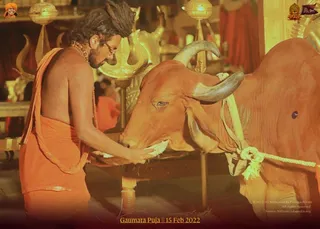 ADIKAILASA on 2/15/2022