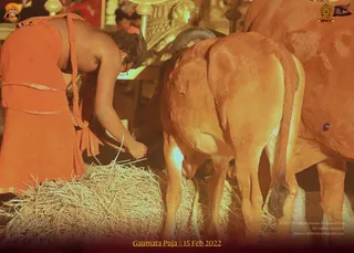 ADIKAILASA on 2/15/2022