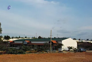 November 20 2008