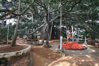 October 24 2010