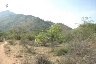 1978 - Tiruvannamalai - InnerGirivala