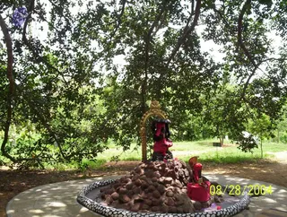 August 28 2004