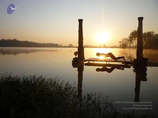 Nithyananda Yoga Poses