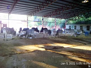January 05 2022