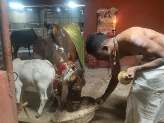 Jan 1 2022 sripuram