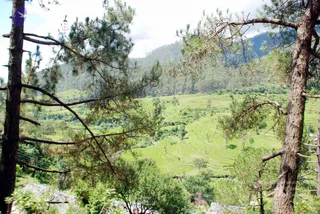 July 01 2008