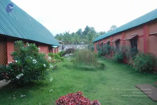 July 09 2010