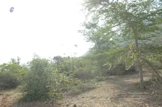 1978 - Tiruvannamalai - InnerGirivala