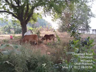 Photo 8284236