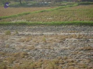 September 2006 - Sindhanur flood relief