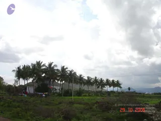 October 29 2006