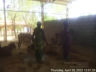 April 28 2022